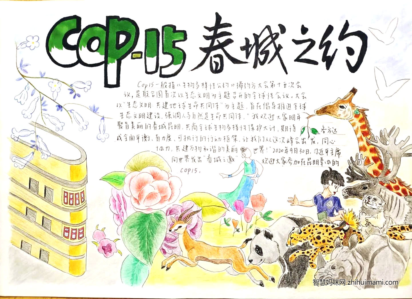 COP·15春城之约主题手抄报-图6