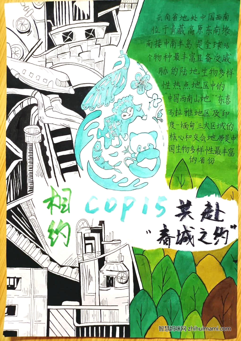 COP·15春城之约主题手抄报-图8