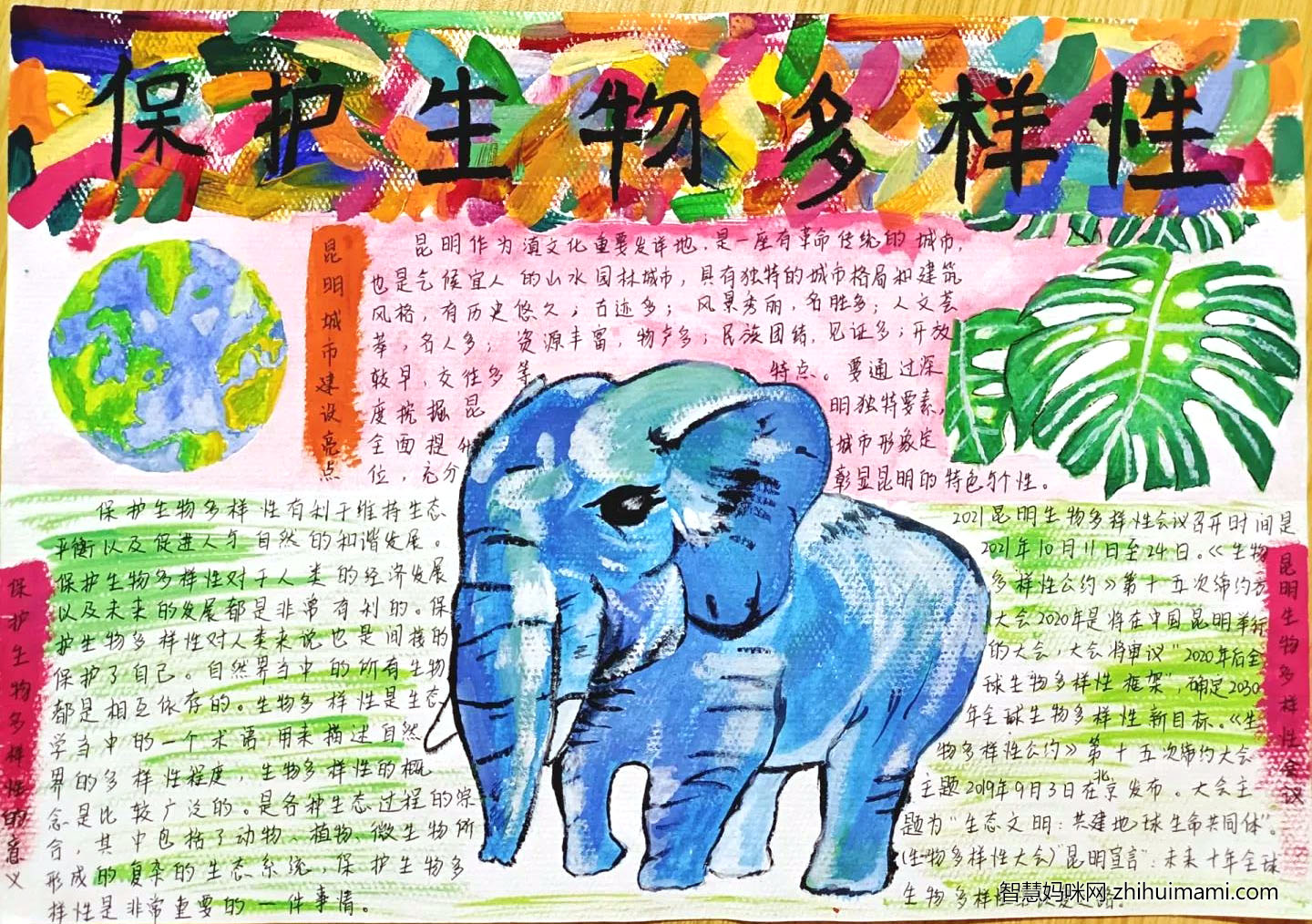 保护生物多样性手抄报图片-图3