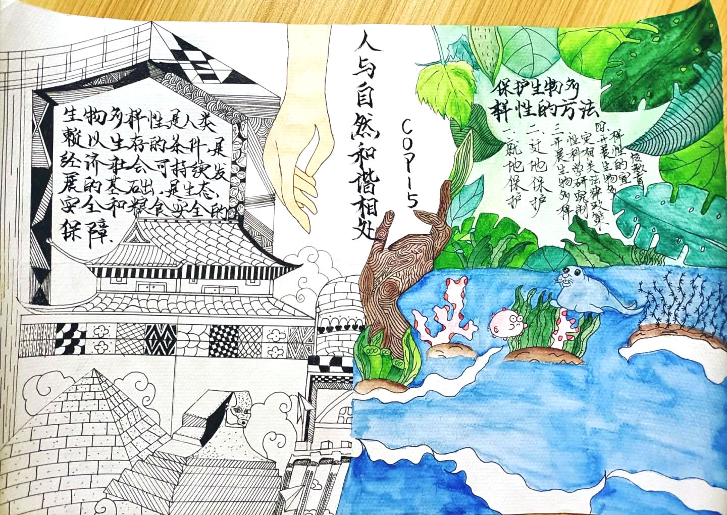 2021年云南生物多样性手抄报绘画-图7