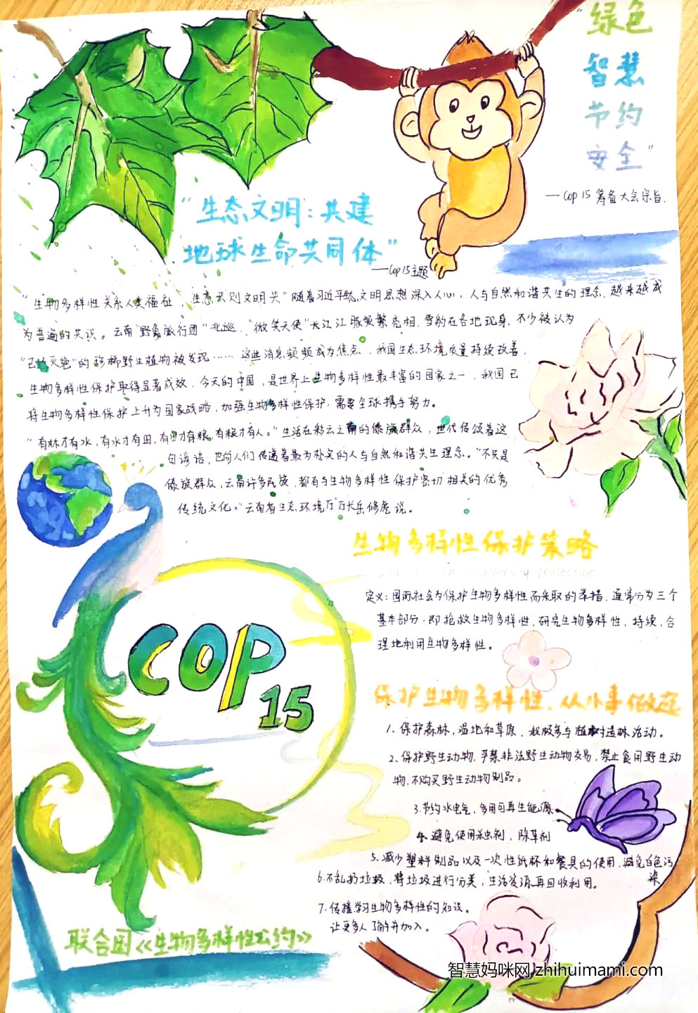 国际生物多样性日手抄报绘画-图4