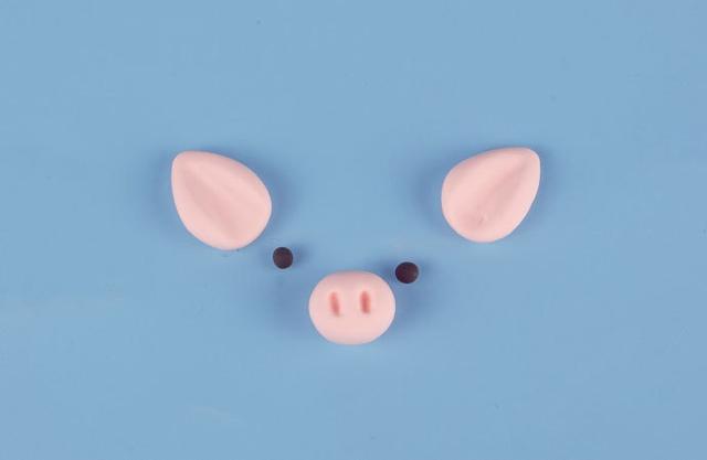 步骤10：做出小猪的耳朵和鼻子以及眼睛。