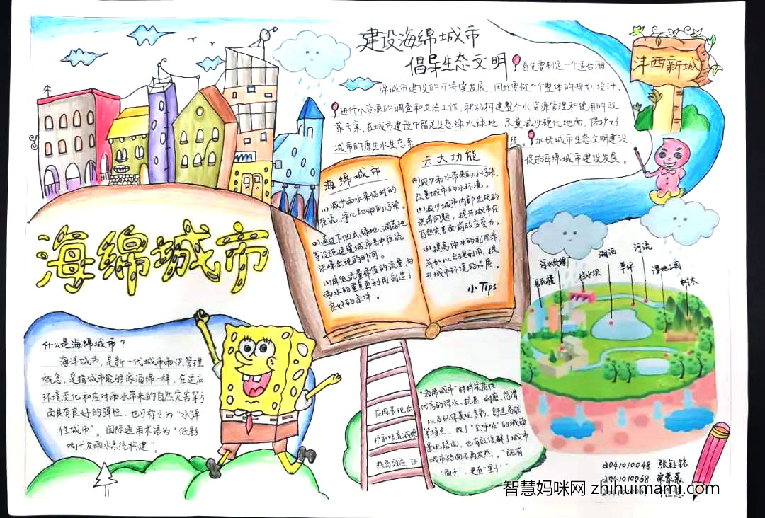 9张漂亮的海面城市主题手抄报-图3