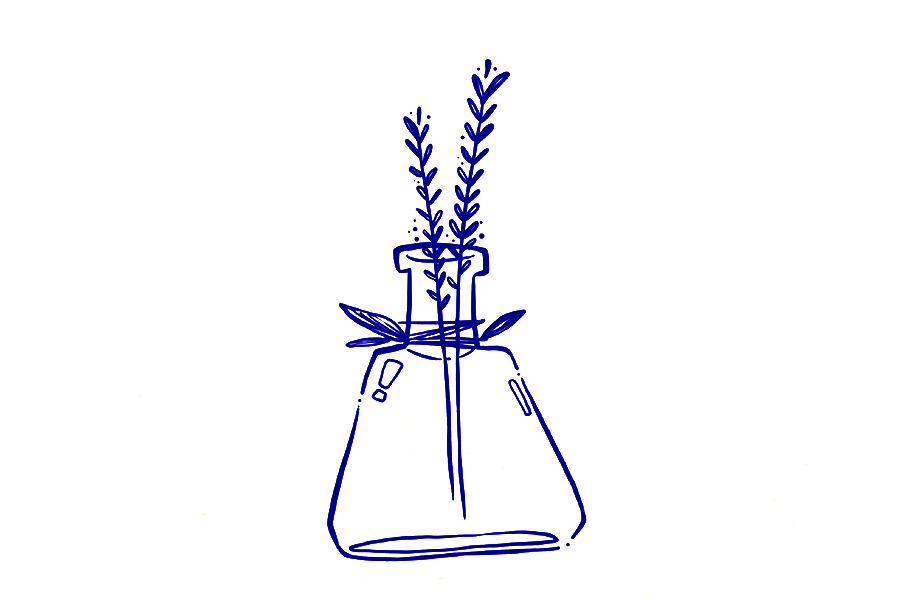 香水简笔画教程-图5