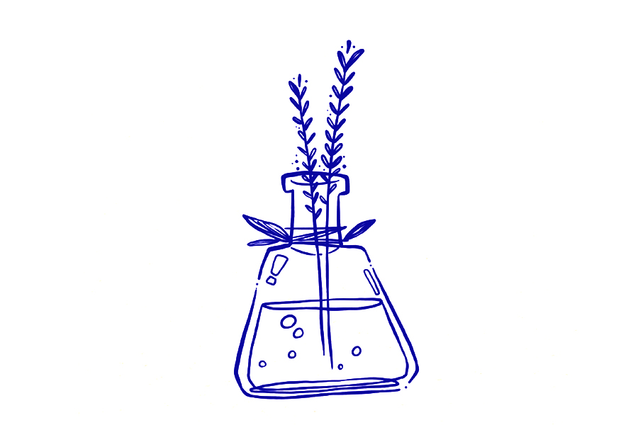 香水简笔画教程-图7