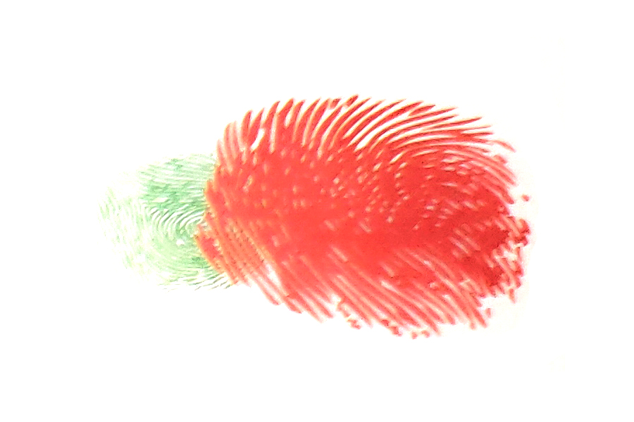 步骤3：用大拇指蘸取颜料，在原有的基础上按上手印。