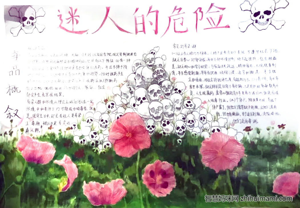 步骤1：《迷人的危险》美丽的事物往往蕴含着危险，往往能给人致命一击。罂粟花的美丽都是人骨作肥料堆积出来的。