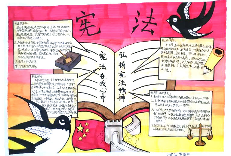 几张关于宪法的手抄报汇总-图2