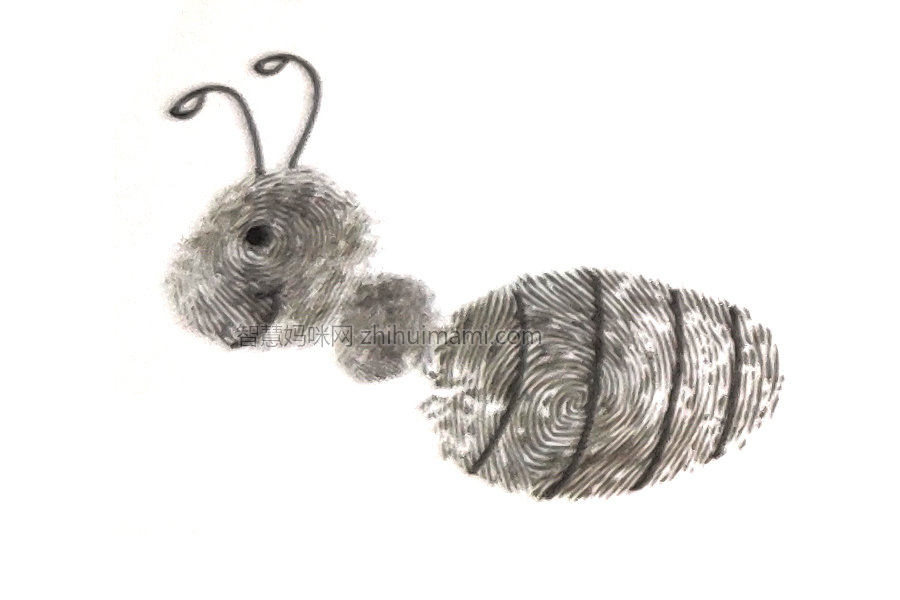 步骤4：接下来画上腹部的花纹吧。