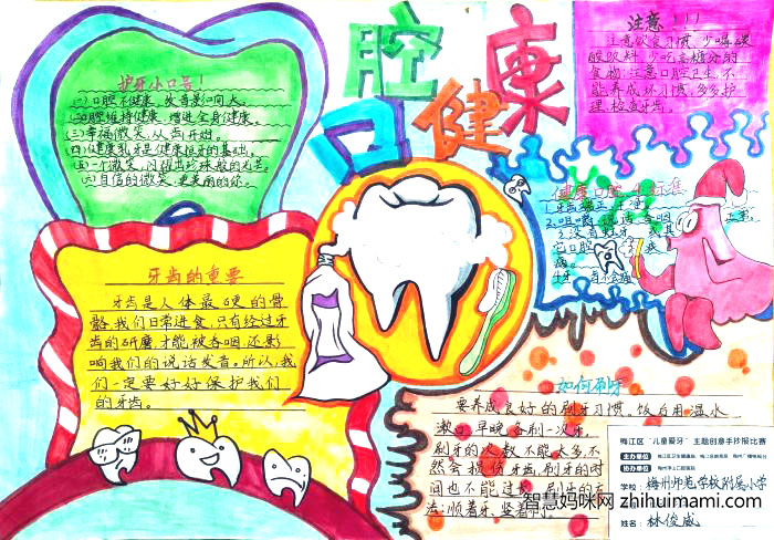 健康口腔助成长手抄报-图7