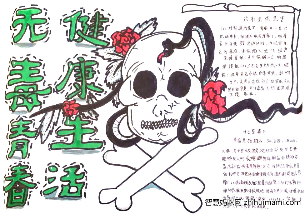 六年级国际禁毒日手抄报简单-图3