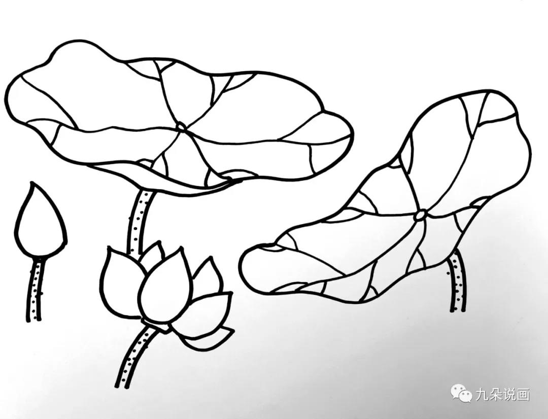 步骤7：纸上画出荷叶等井内生长的植物的轮廓，并用马克笔平涂上颜色。