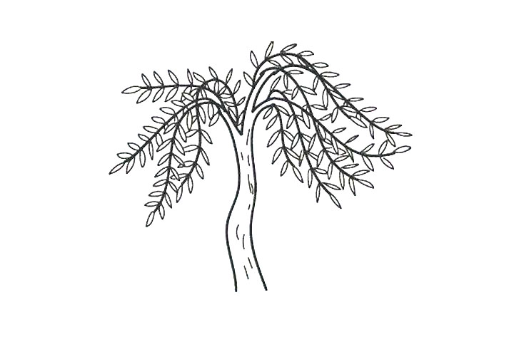 春天简笔画-柳树怎么画