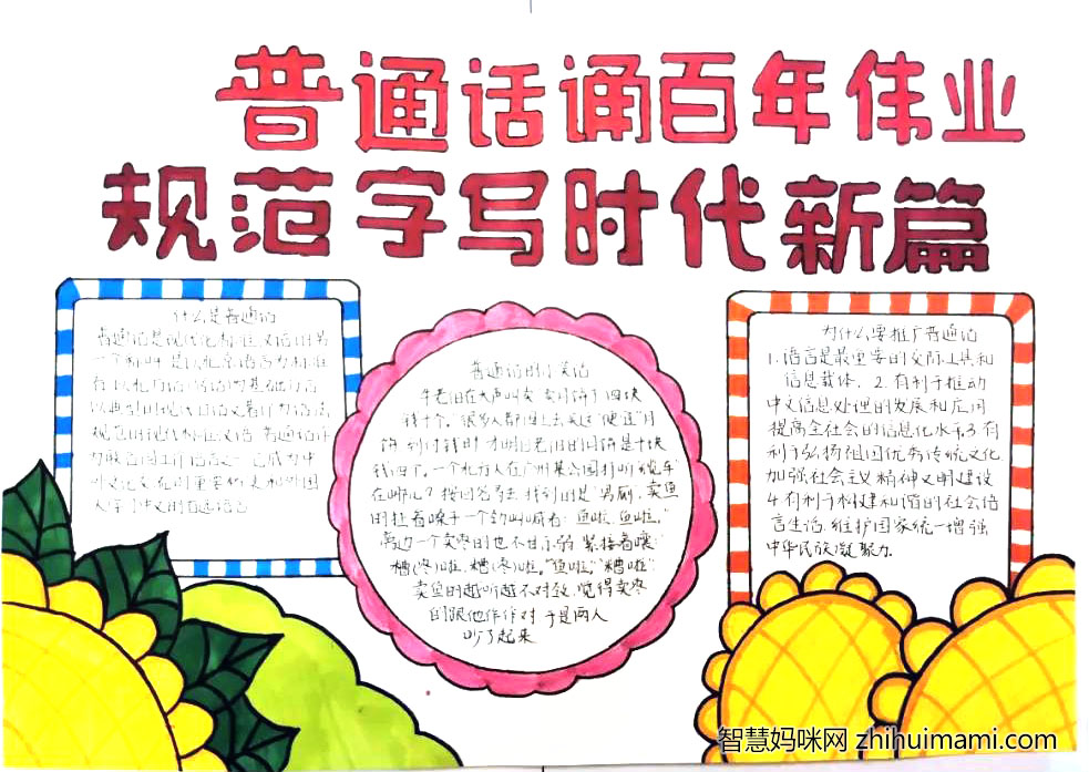 一组简单漂亮的推普周手抄报作品-图8