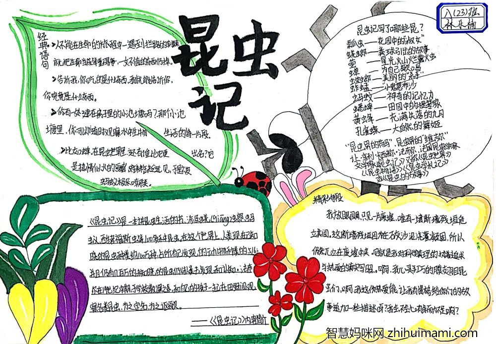 昆虫记手抄报怎么画-图1