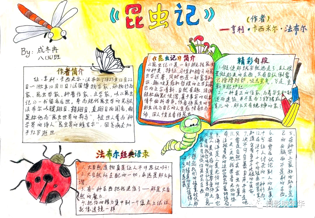 好书推荐主题手抄报昆虫记（8张）-图8