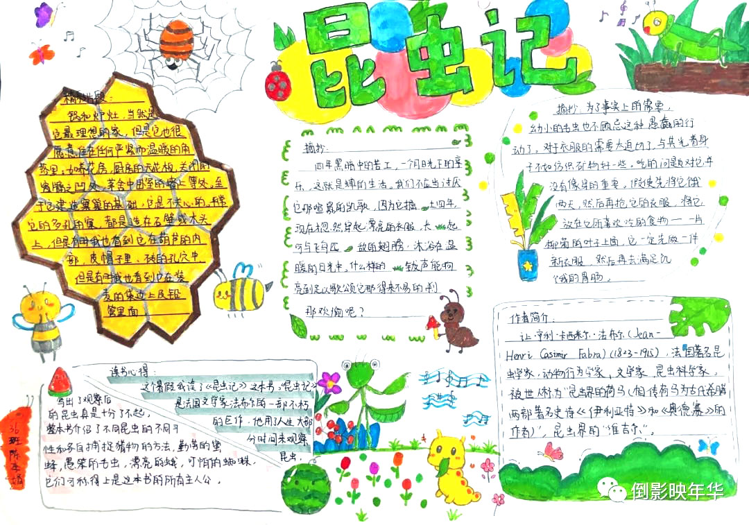 好书推荐主题手抄报昆虫记（8张）-图3