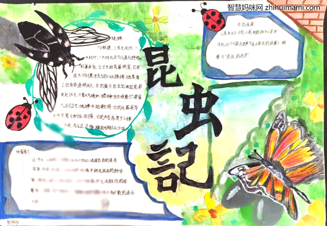 初中生昆虫记手抄报一等奖-图2