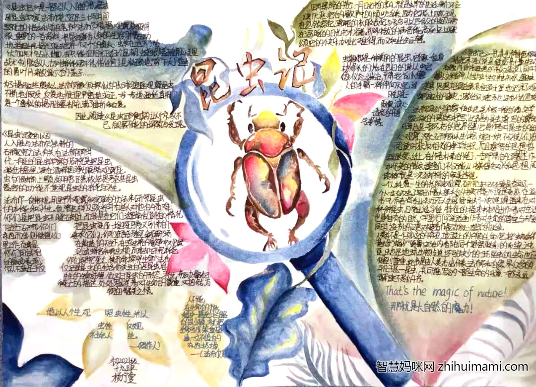 初中生昆虫记手抄报一等奖-图7