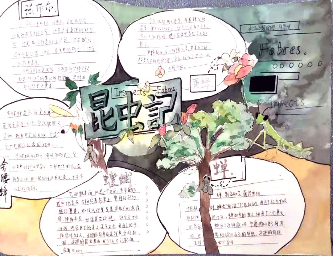 初中生昆虫记手抄报绘画图片-图6