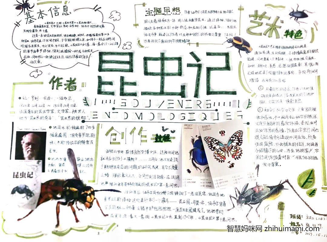 好书推荐主题手抄报昆虫记（8张）-图4