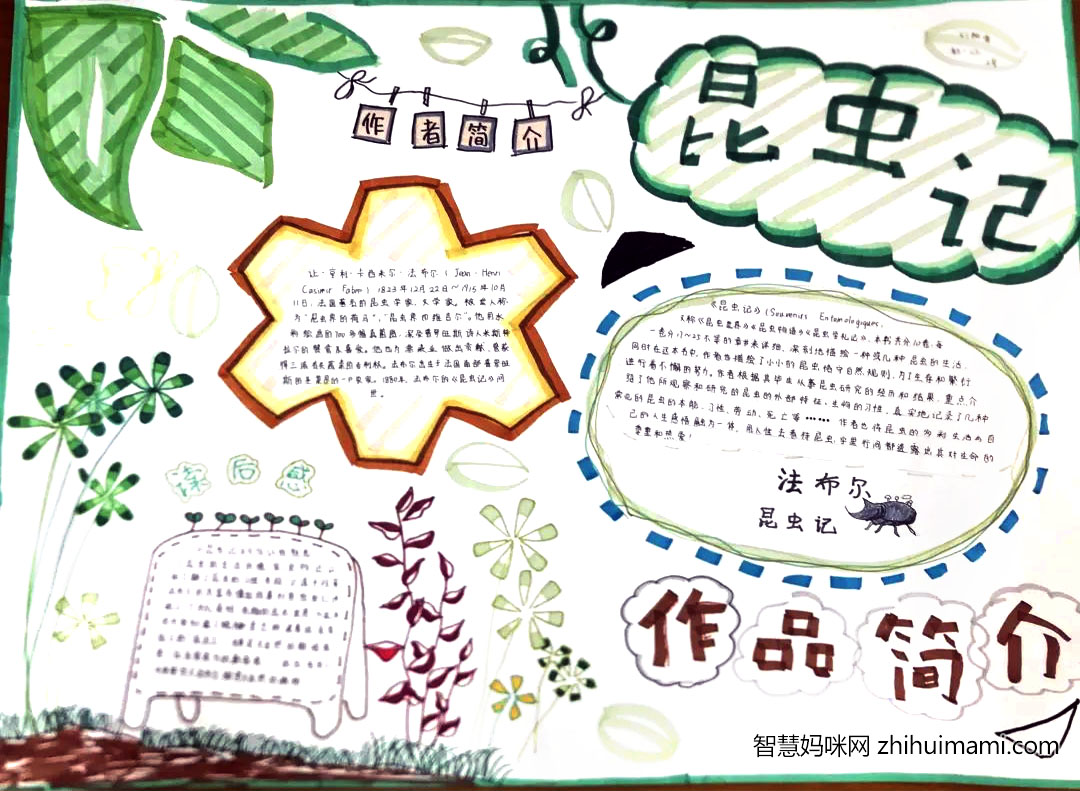 好书推荐主题手抄报昆虫记（8张）-图5