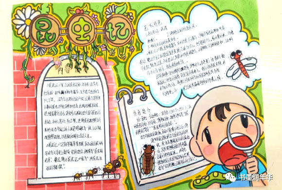 昆虫记手抄报内容及图片-图1