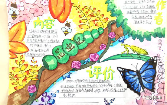 昆虫记手抄报内容及图片-图2