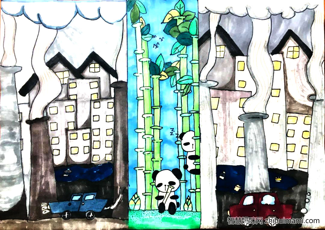 关于生物多样性的儿童画漂亮-图6