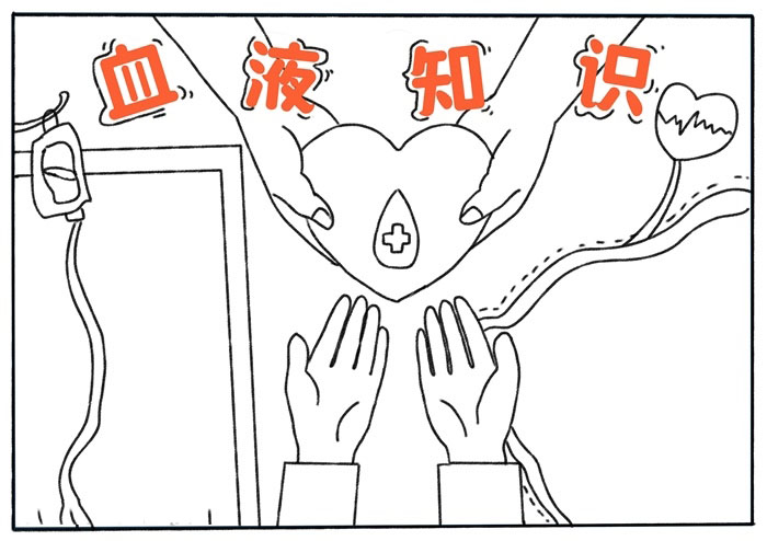 关于血液知识的手抄报怎么画-图2