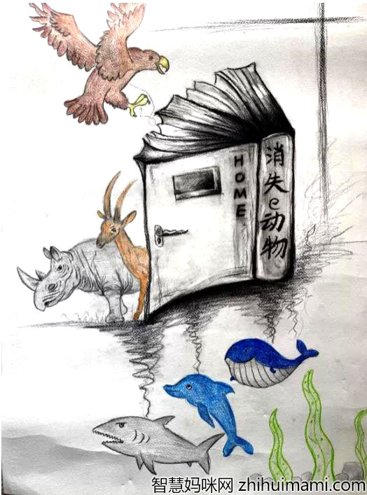消失的动物创意画儿童