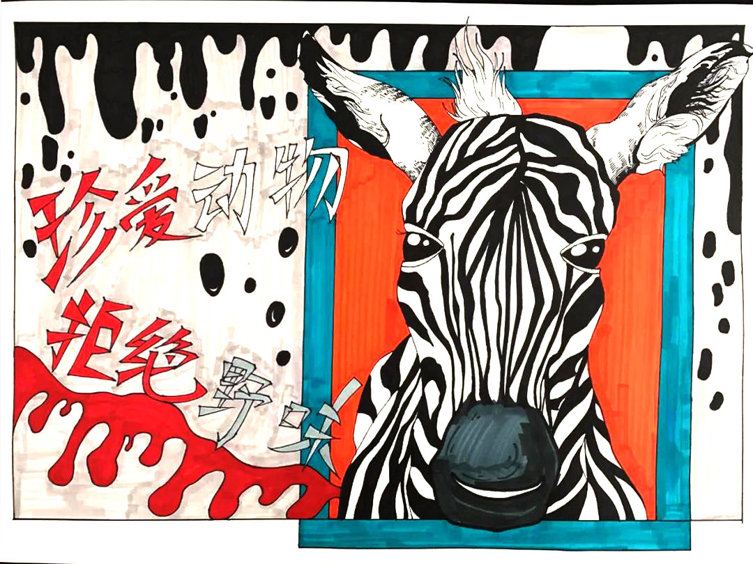 珍爱动物拒绝野味儿童手绘欣赏