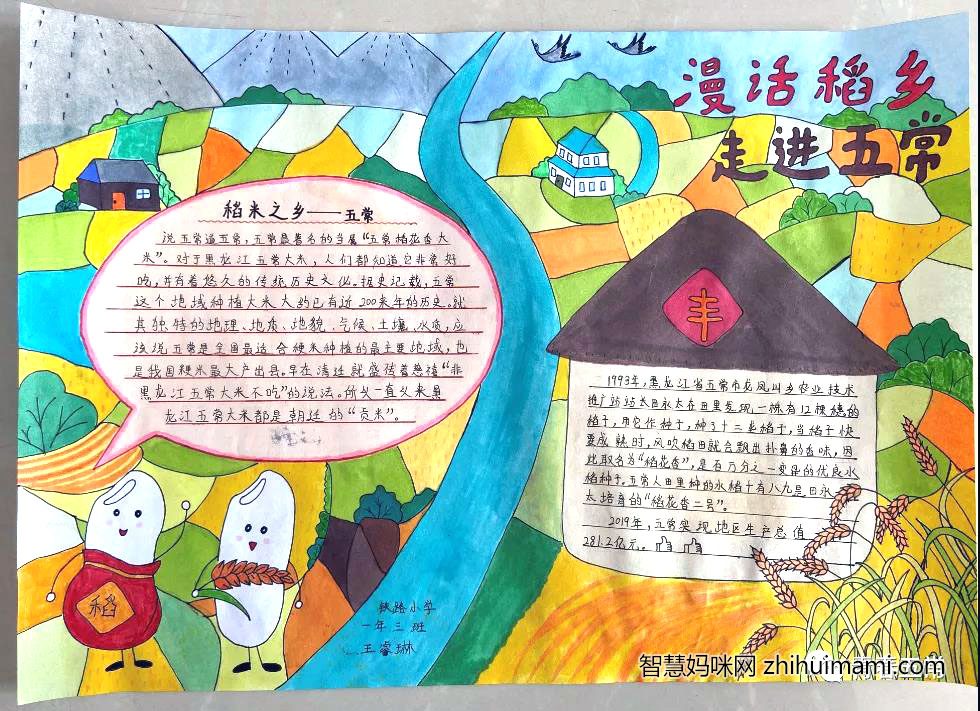 8张关于五常的手抄报图片-图2