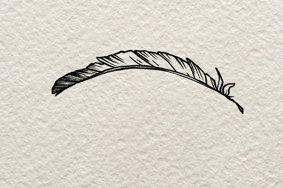 一根羽毛插画简笔画步骤-图5