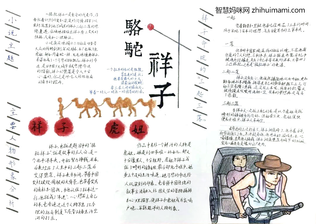 骆驼祥子手抄报图片及内容简单又漂亮-图4