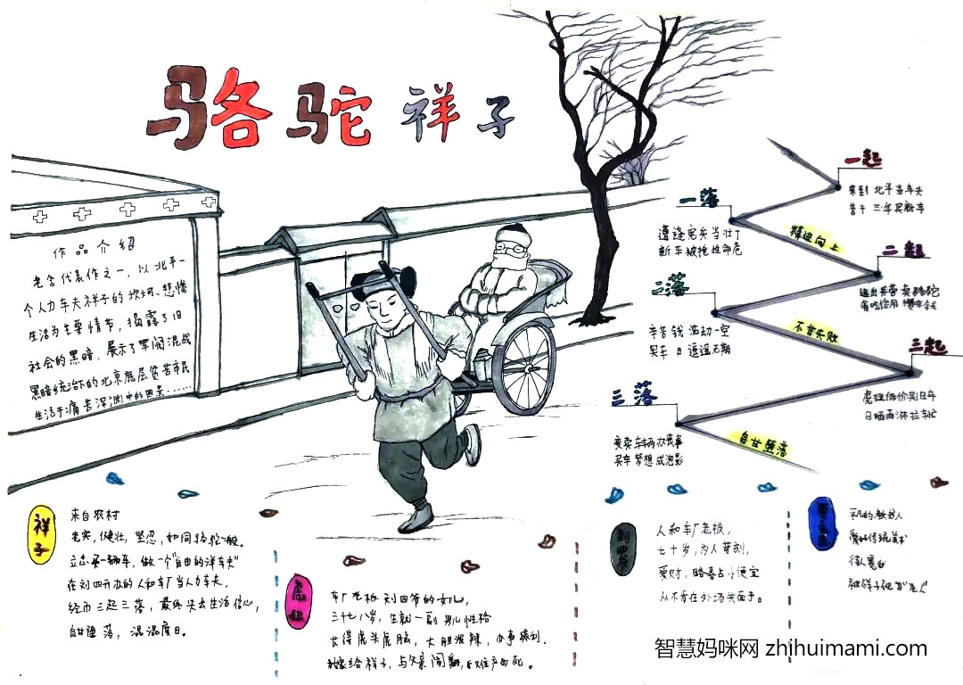 骆驼祥子手抄报图片及内容简单又漂亮-图5