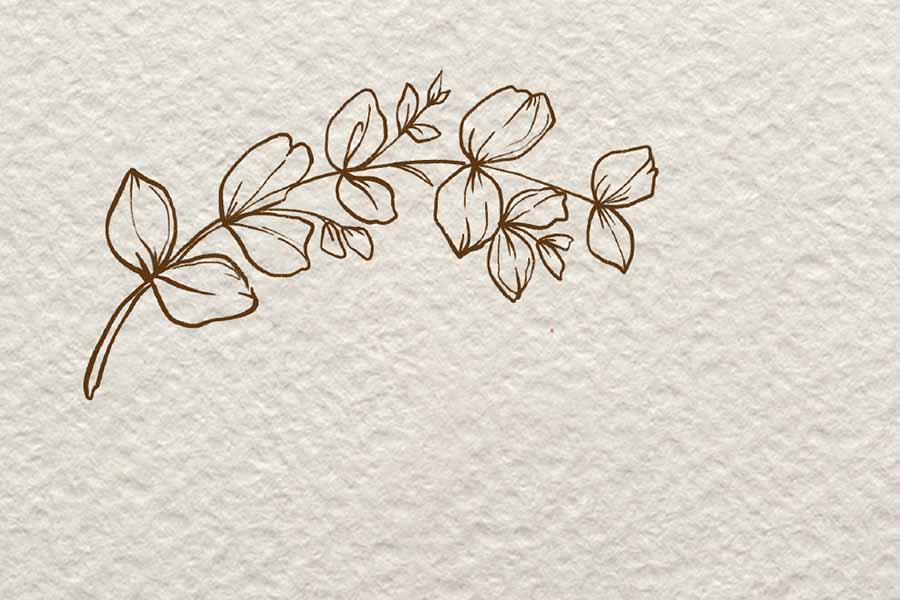 小树枝简笔画画法步骤-图3