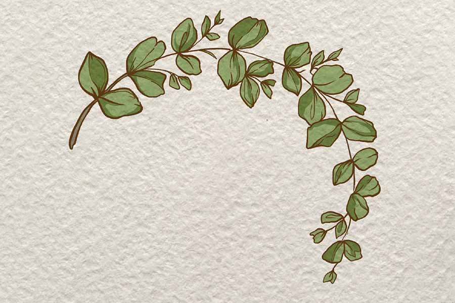 小树枝简笔画画法步骤