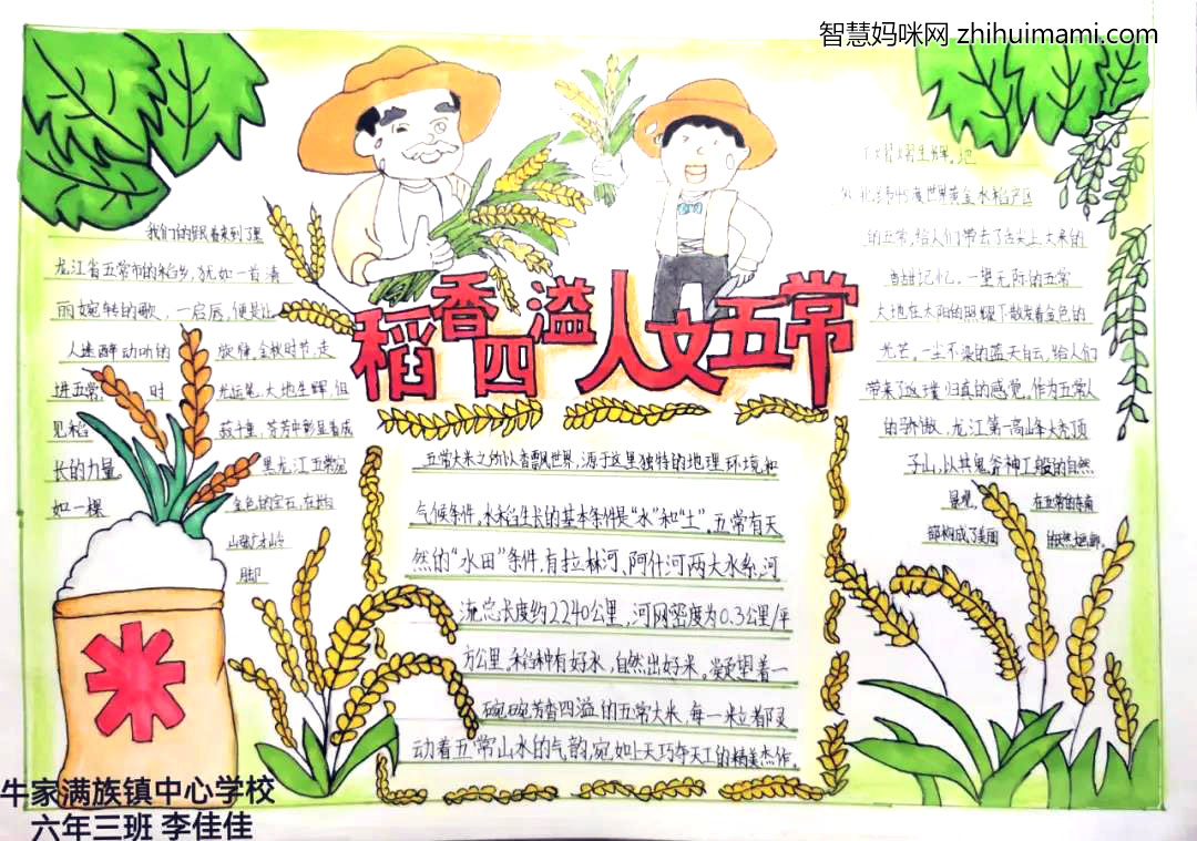 “稻香四溢 人文五常”主题手抄报绘画-图5