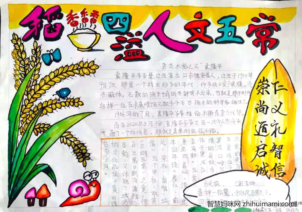 “稻香四溢 人文五常”主题手抄报绘画-图9