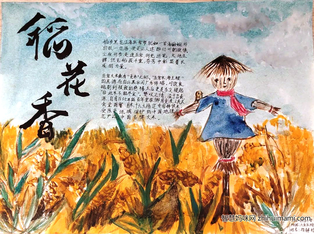 稻乡五常主题手抄报图片-图1