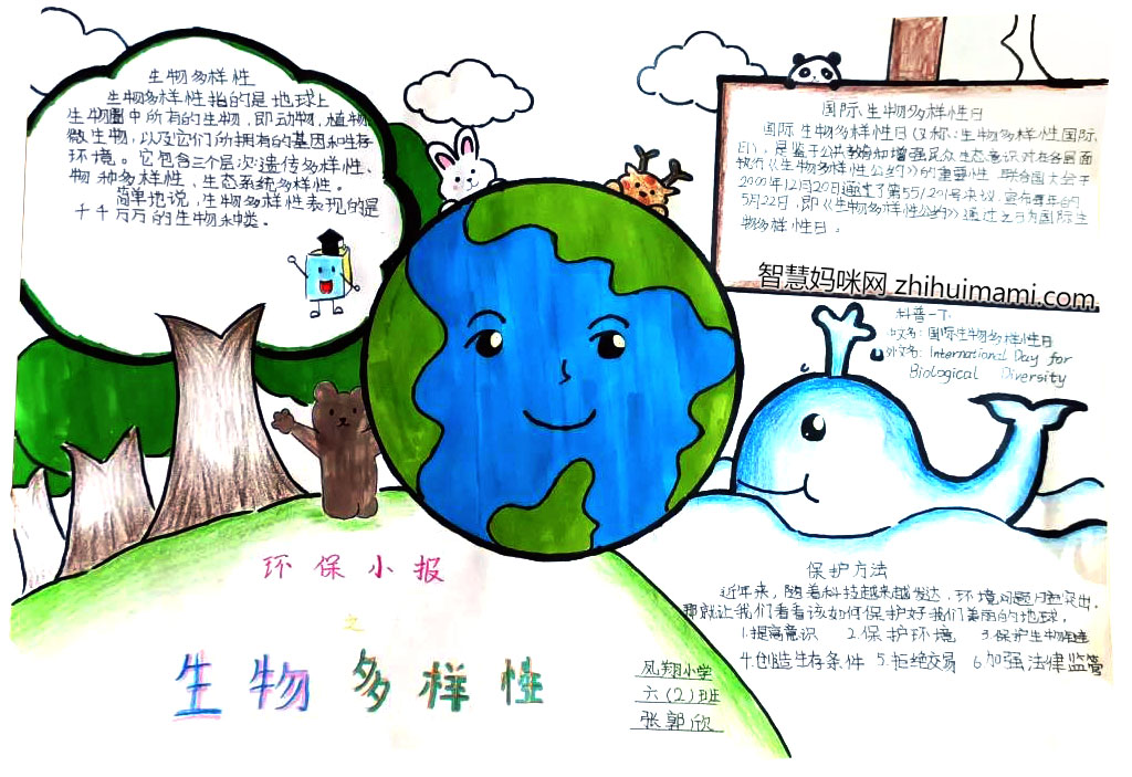 “保护地球，保护环境”主题手抄报-图8