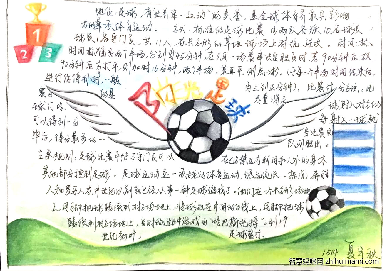 8张校园足球手抄报简单又漂亮-图5