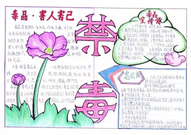 5张简单的禁毒教育手抄报图片-图3