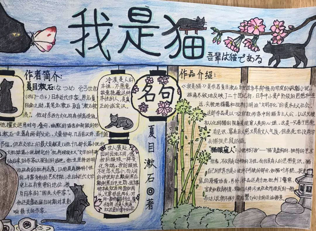 8张初一读书小报绘画简单有魄力-图8