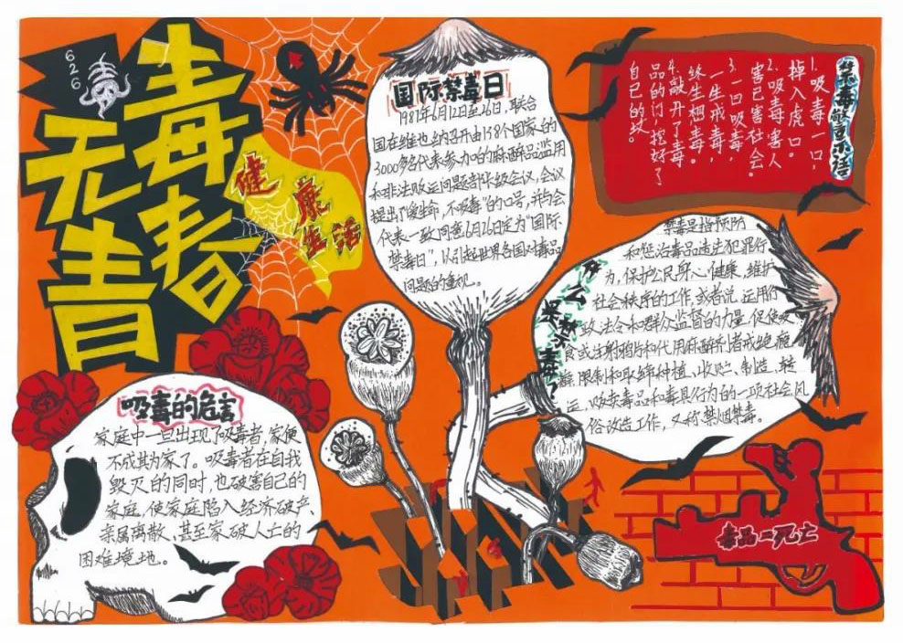 “健康人生，绿色无毒”手抄报一等奖-图5