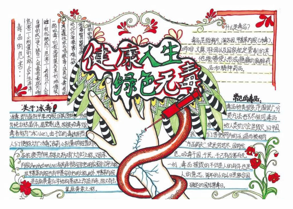 “健康人生，绿色无毒”手抄报一等奖-图8