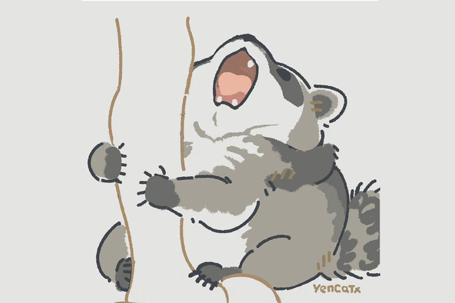 一组可可爱爱的小浣熊简笔画图片-图5