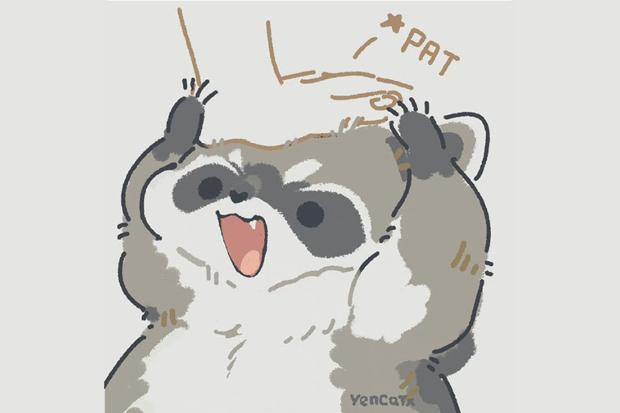 一组可可爱爱的小浣熊简笔画图片-图8