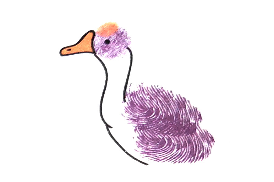 步骤3：画出鹅的扁嘴巴和脖子的轮廓。